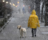 <p>A woman walks her dog in heavy snow in Hoboken, N.J., March 7, 2018. (Photo: Seth Wenig/AP) </p>