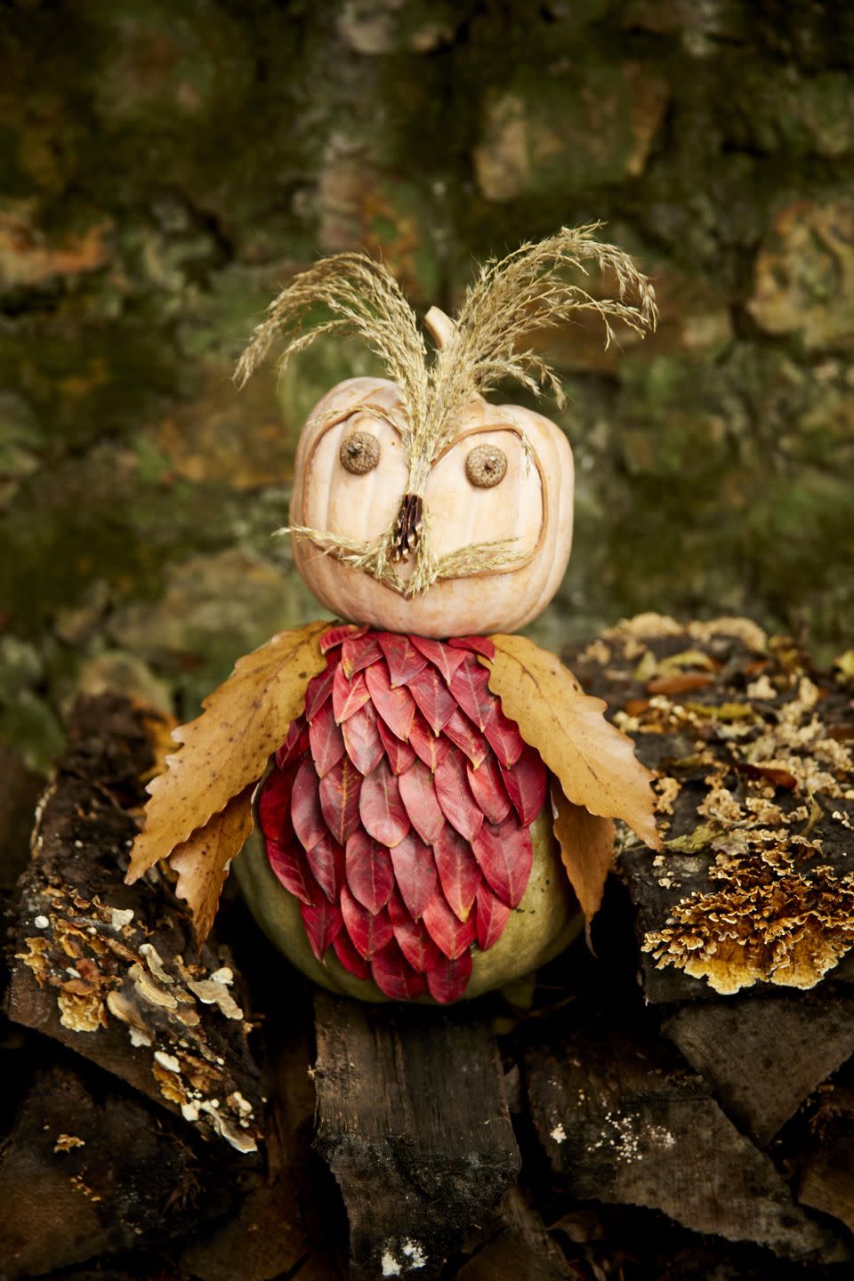 <p>This sweet face just requires a trip to the backyard to gather a few leaves and pine cones. <br><br><strong>To make:</strong> Gather small- and medium-sized leaves, acorn caps, grasses, and pinecones from the yard. Glue small leaves on the front of a small oblong pumpkin, overlapping them slightly, to create feathers. Glue four larger leaves on either side, overlapping them, to create wings. Attach a piece of thin leather string with hot glue to a small acorn squash to create the outline of the face. Pull apart a pinecone and use the individual scales to create the nose, attaching them with hot glue. Attach acorn caps to create eyes and grass to create ears and whiskers.</p>