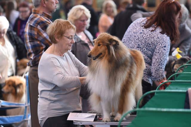 Crufts 2016