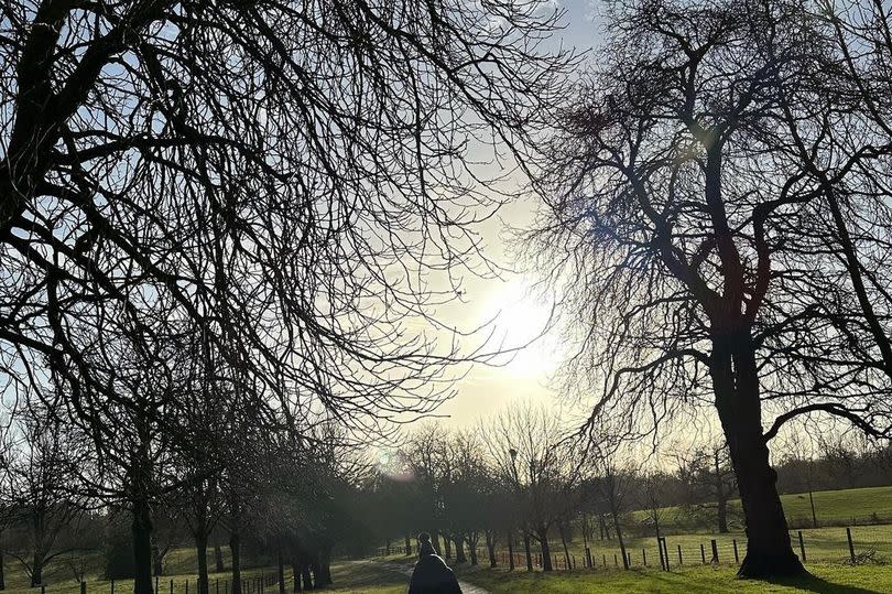 Mina holding hands with one of Christine’s children as they enjoyed a stunning sunset during a dog walk in a picturesque location