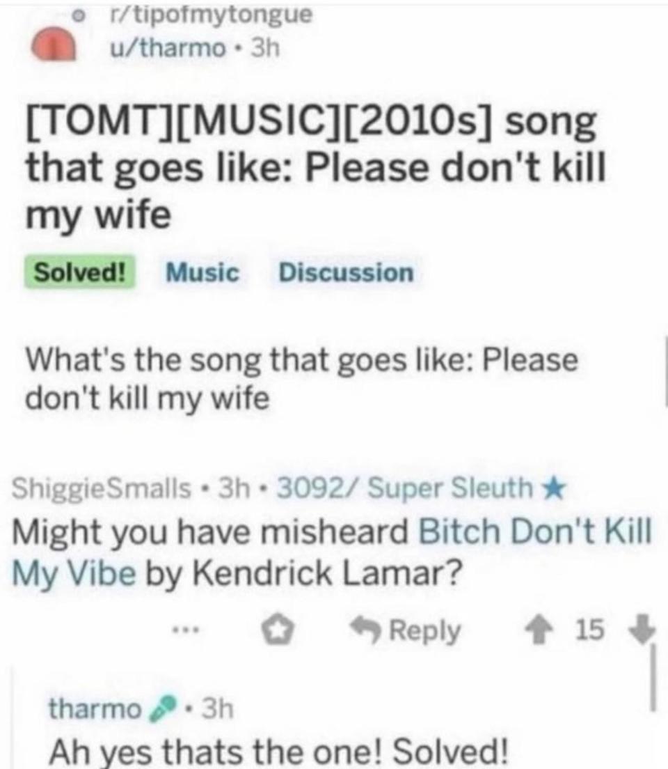 someone who thinks the song bitch don't kill my vibe is called please don't kill my wife