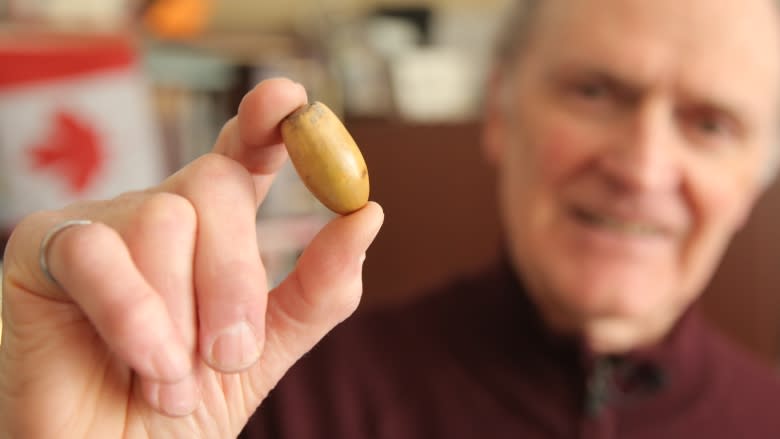 The oaks of Vimy: One man's mission to restore a natural treasure to the battlefield