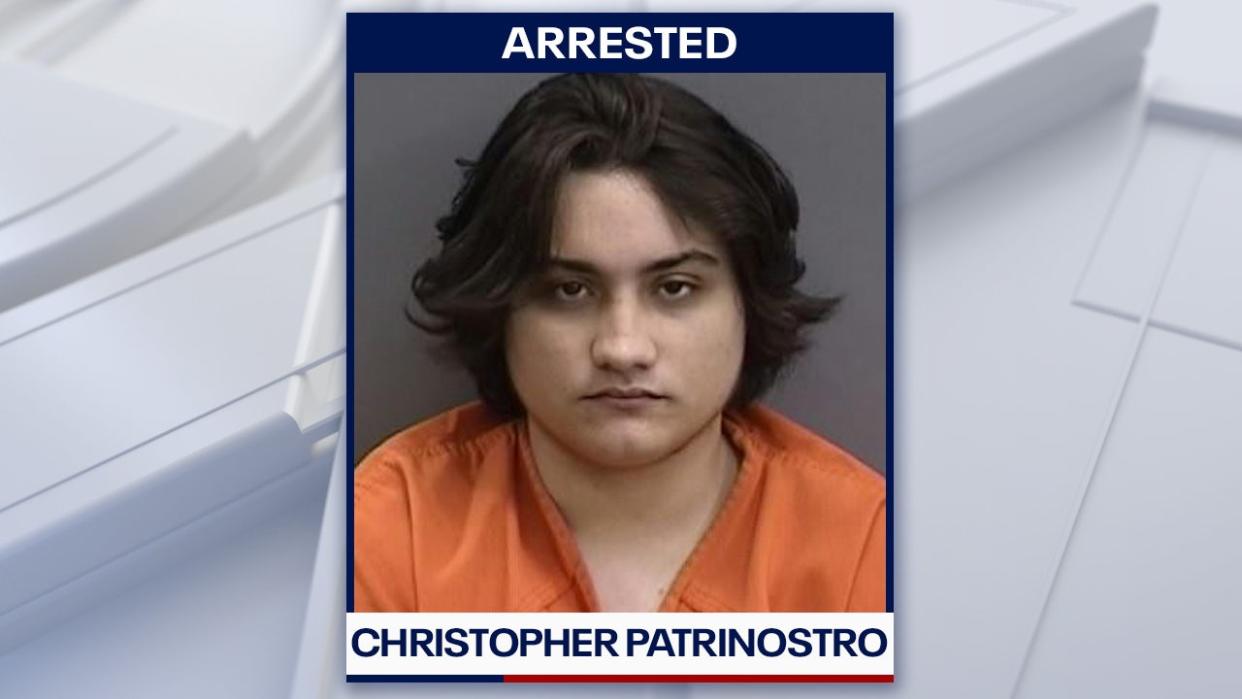 <div>Christopher Patrinostro mugshot courtesy of the Hillsborough County Sheriff's Office.</div>