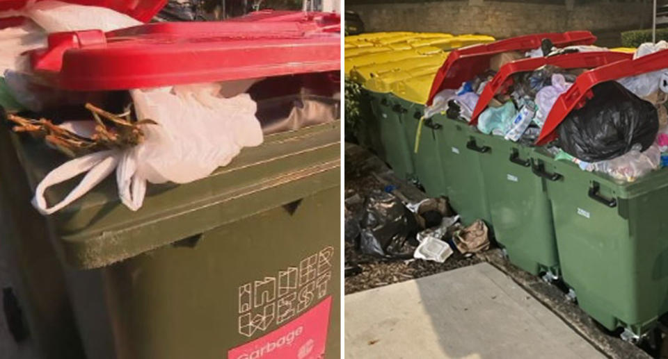 Overflowing rubbish bins in Sydney's Inner West. 
