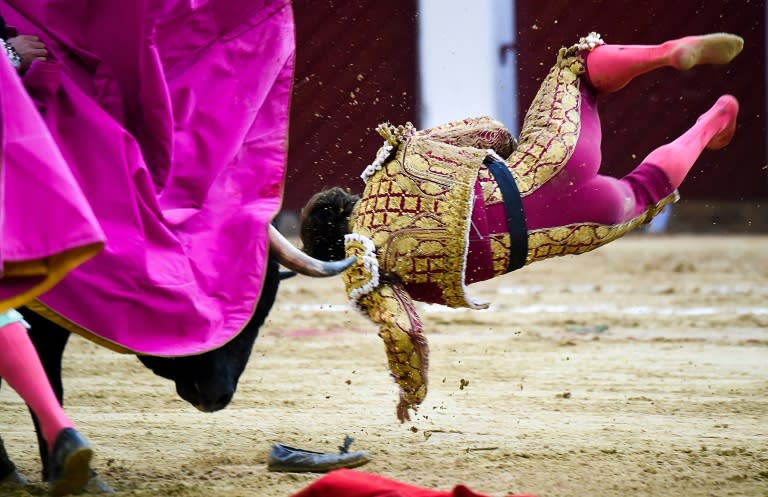 Spanish bullfighter El Juli is hit by a bull during a bullfight at the La Santamaria bullring in Bogota, Colombia, on February 18, 2018