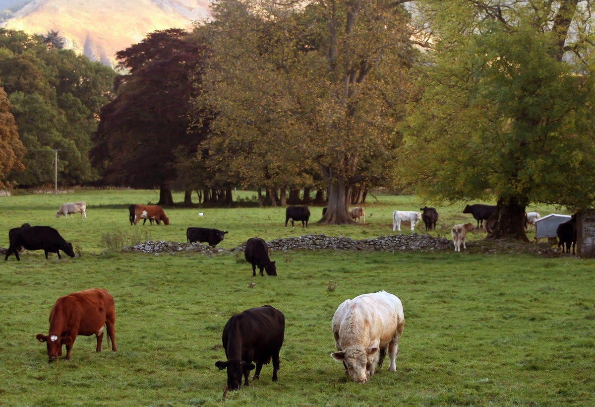 How you pronounce words such as ‘farm’ could be about to change (PA) (PA Archive)