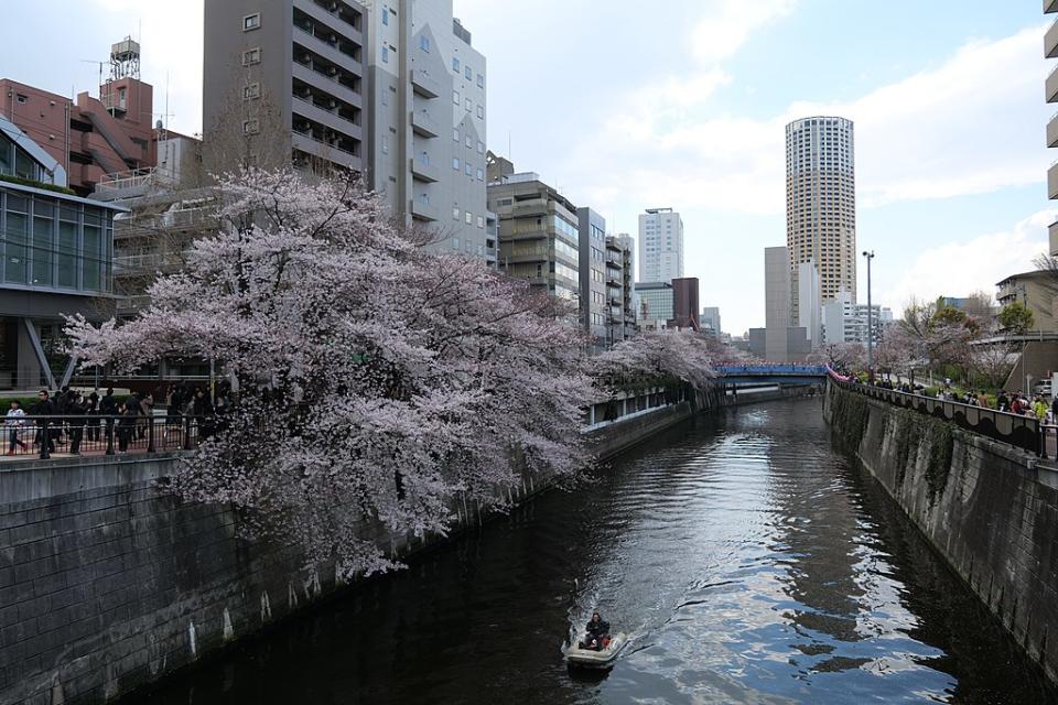 目黑川 (Photo by Zengame, License: CC BY 2.0, Wikimedia Commons提供, 圖片來源www.flickr.com/photos/zengame/46592009055)