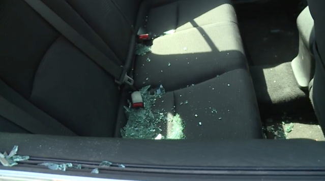 U of A student calls for surveillance cameras after car is vandalized on  campus