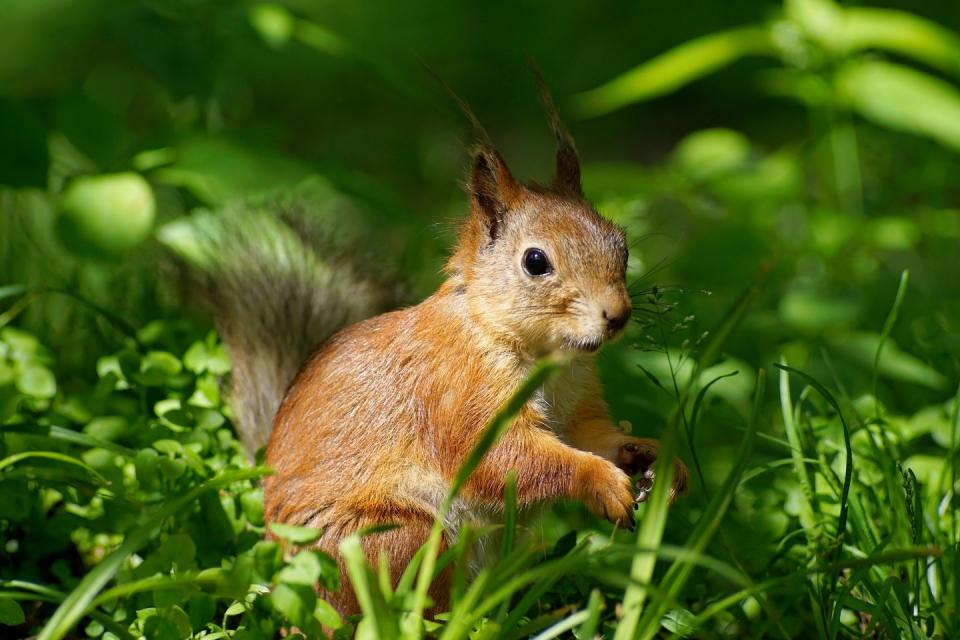 Photo credit: Denis Rodionov / 500px - Getty Images