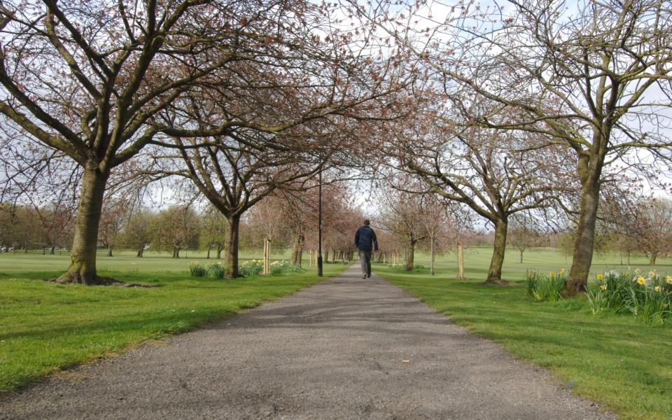 The Stray, a 200-acre historic parkland - Roger Moody/Guzelian