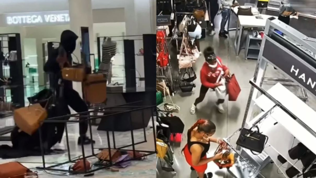 Video captures mob of robbers swarming Nordstrom in Southern