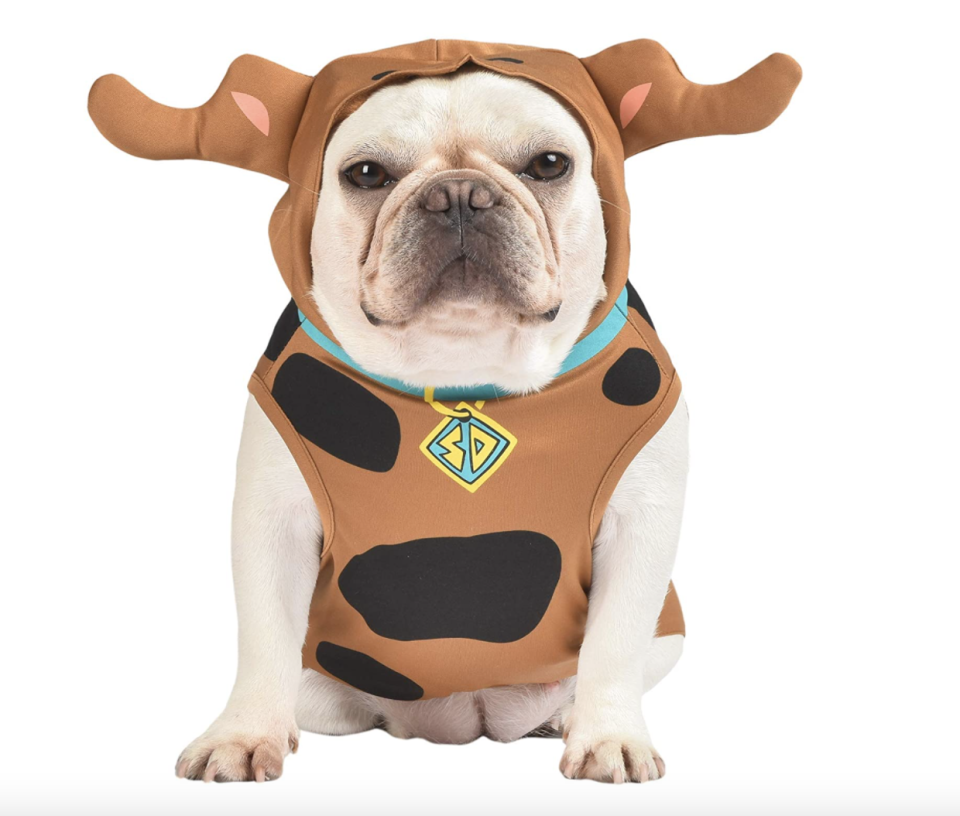 white puppy wearing brown Warner Brothers Scooby-Doo Costume 