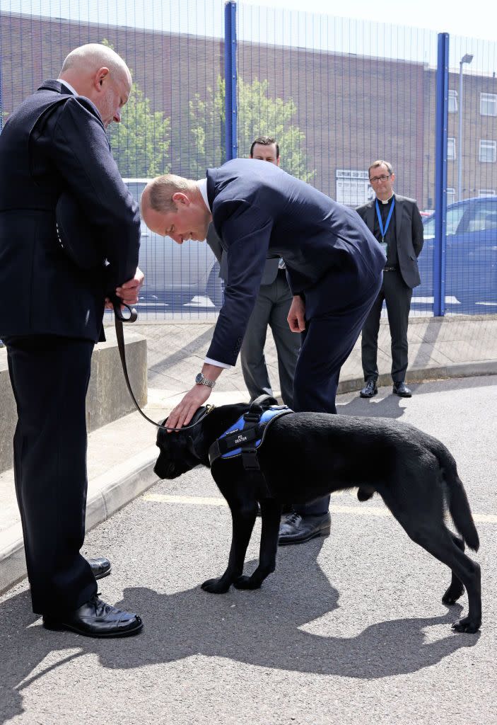 <p>Prince William met Dexter, a professional wellbeing dog, while visiting the Croydon police station in South London. According to <em><a href="https://www.bbc.com/news/uk-england-london-57089128" rel="nofollow noopener" target="_blank" data-ylk="slk:BBC;elm:context_link;itc:0;sec:content-canvas" class="link ">BBC</a></em>, Dexter's handler Mike Sheather, told the Duke of Cambridge that in the past year, his canine partner has helped workers at hospitals and comforted police officers.</p>