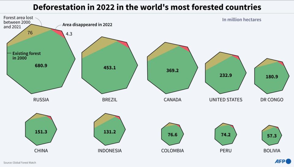 <span>Graphic showing forest area and forest area lost from 2000 to 2021 and in 2022 in the ten countries with the most forested area, according to Global Forest Watch</span><div><span>AFP</span></div>