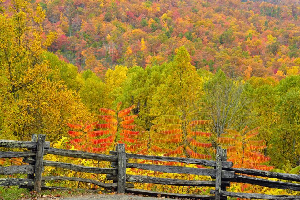 Tennessee Valley Railroad