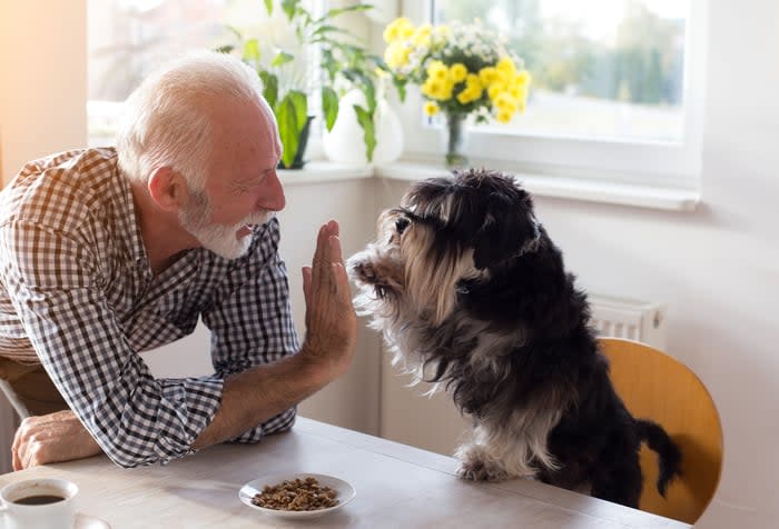 A person high-fiving a dog at a table.