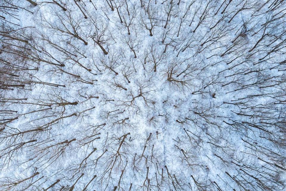 A layer of snow cover the ground near Black Mountain in Harlan County, Ky., on Friday, Jan. 27, 2023.