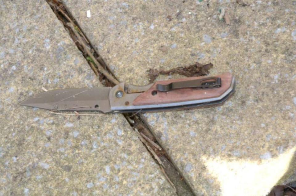 The knife used to stab 12-year-old Ava White (CPS/PA) (PA Media)