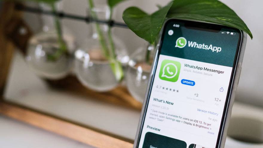 WhatsApp funge como una red social para millones de personas.