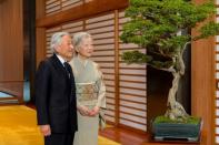 Japan's Empress Michiko poses for a photo with Emperor Akihito at the Imperial Palace in Tokyo, in this handout picture taken October 4, 2017 and provided by the Imperial Household Agency of Japan. Imperial Household Agency of Japan/HANDOUT via Reuters