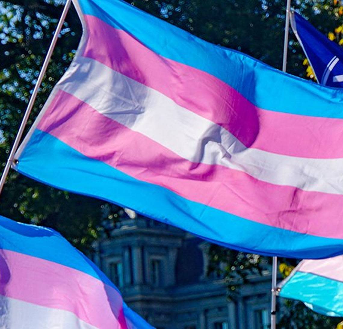 Transgender flags.