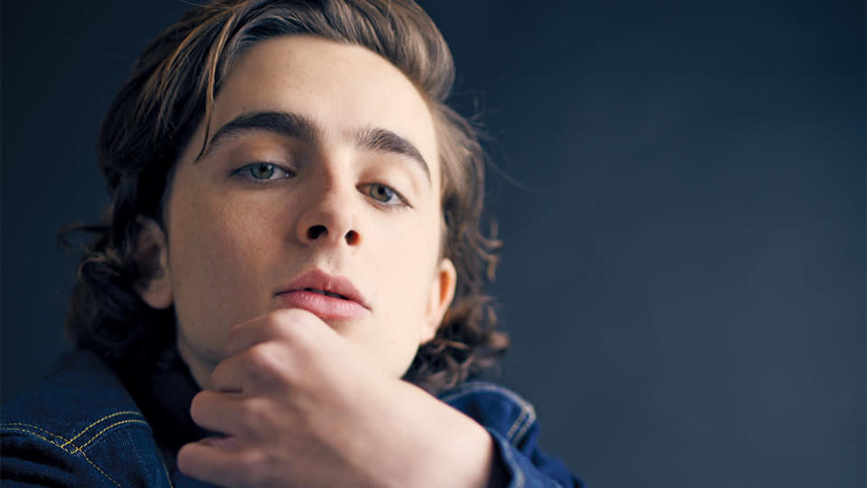 Timothee Chalamet On His Racy Sex Scene In ‘call Me By Your Name