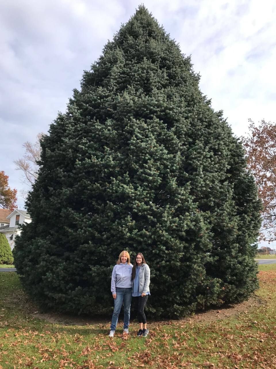 Chris Frontz (left) and Amye Frontz stand in front of the tree before it is chopped down.