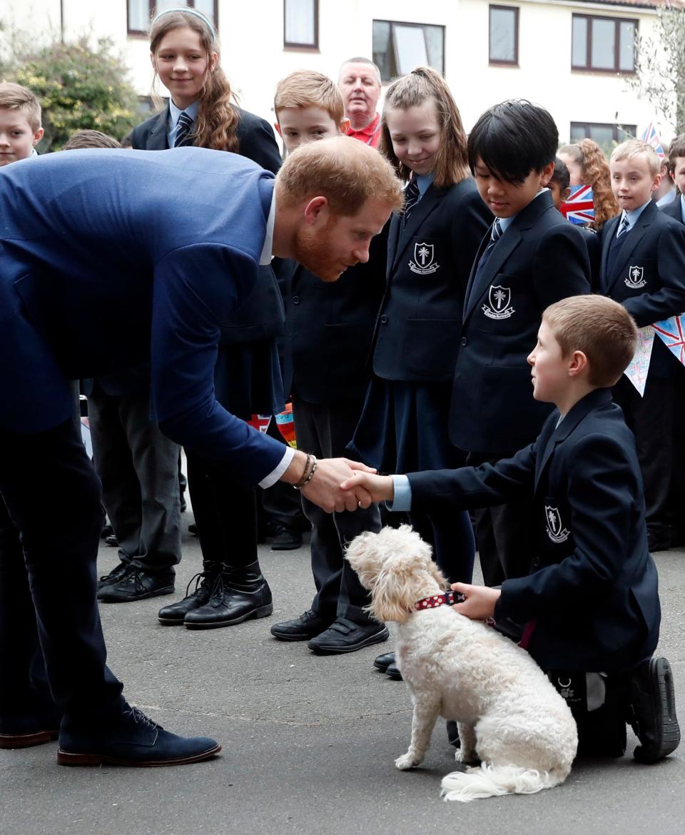 Prince Harry London school