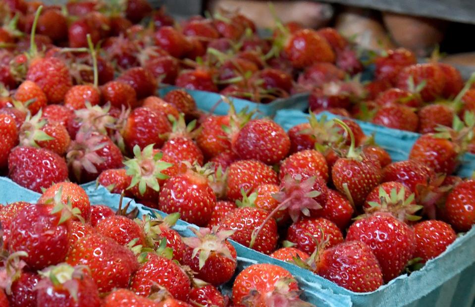 Many Northeast Ohio farms are struggling to produce strawberries this year because of drought conditions. Isaac Yoder, the owner of Sunny Slope Orchard in Tuscarawas County, said that his strawberry crops this year are only about 60% to 70% as large as the crop in years past.