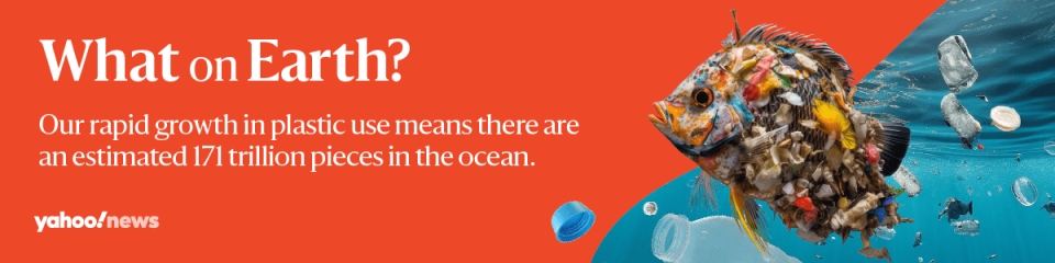 Reads 'What on Earth? Our rapid growth in plastic use means there are an estimated 171 trillion pieces in the ocean.' with a collage of plastic floating in water and a fish made out of rubbish.