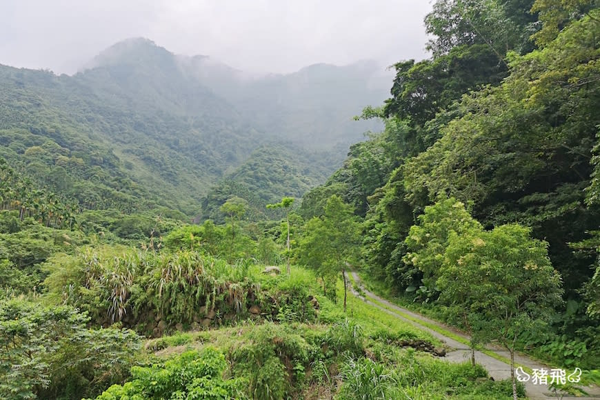 雲林古坑｜華山園區小天梯＆情人橋