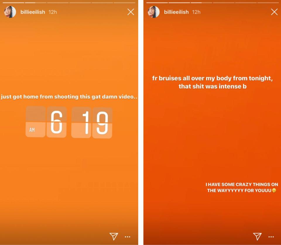 Photo credit: Billie Eilish/Instagram Stories