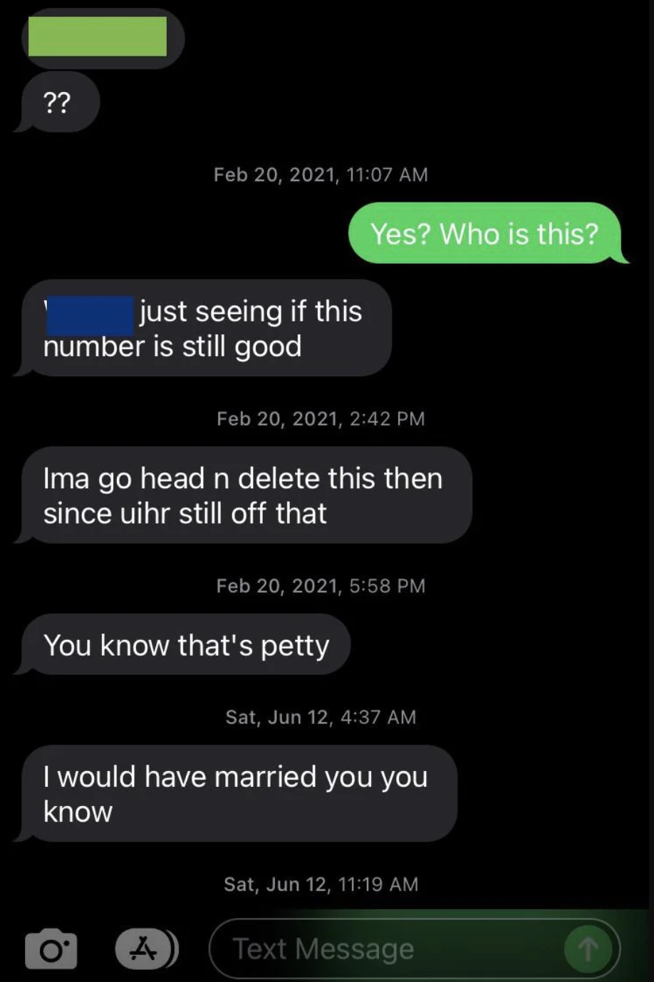 Text from a man calling a woman "petty" and saying "I would have married you you know"