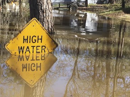 A high water sign is submerged near Lake Bistineau in Webster Parish, Louisiana March 14, 2016. REUTERS/Therese Apel