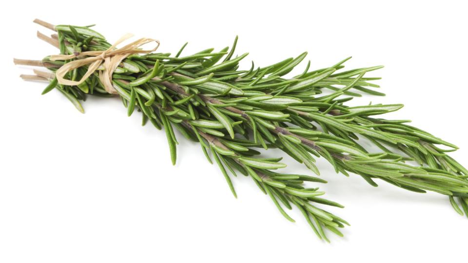 fresh rosemary herb on white background