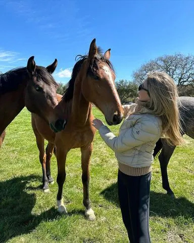 Tom Selleck's daughter Hannah Selleck with horses.