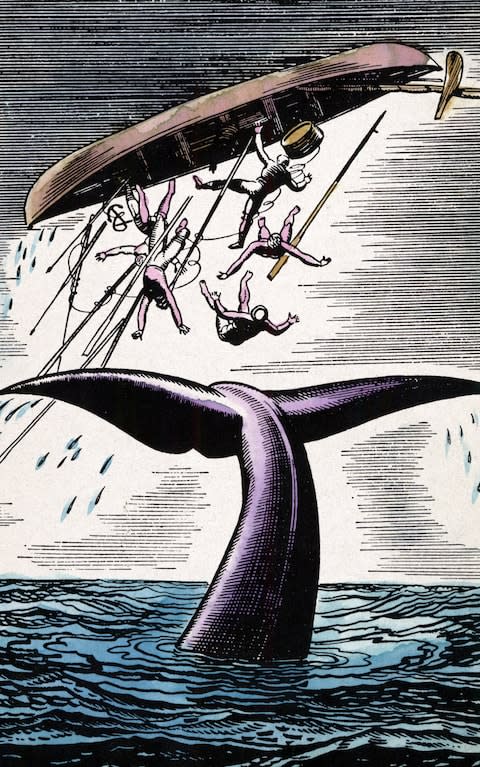 An illustration from Moby Dick - Credit: GETTY