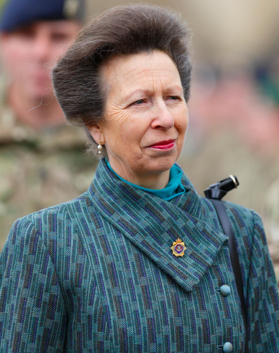 Princess Anne has carried out 114 official engagements so far this year. Photo: Getty Images