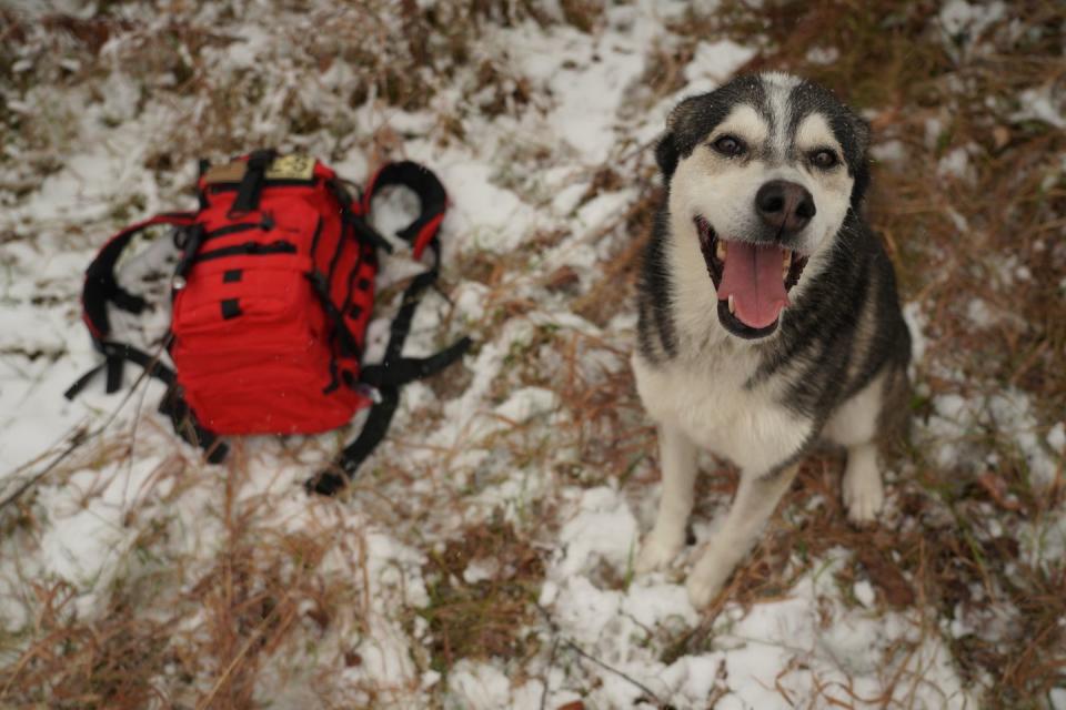 <span class="caption">Pepé and the bug-out bag from Echo Sigma.</span><span class="photo-credit">Blair Braverman</span>