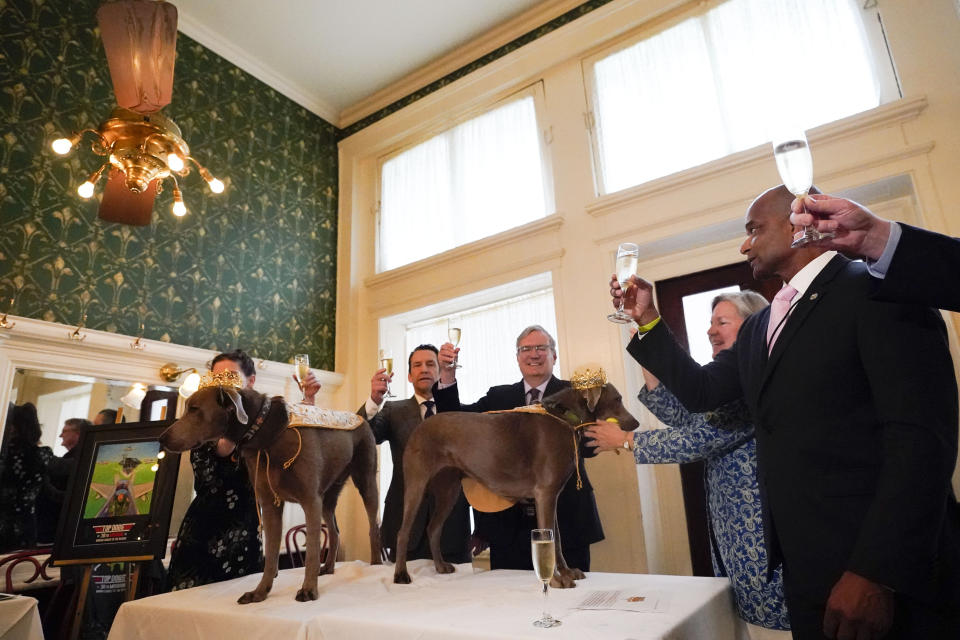 His Majesty XXX, King Pete Sampras Gelderman, left, and Her Majesty XXX, Queen Billie Jean King Gelderman, the king and queen of the Krewe of Barkus, a Mardi Gras dog parade, are introduced with a champagne toast in royal attire at historic Galatoire's Restaurant in New Orleans, Friday, Feb. 10, 2023. The Barkus parade, open to public and their dogs by registering for the event, goes through the French Quarter on Sunday, Feb. 12, 2023. (AP Photo/Gerald Herbert)