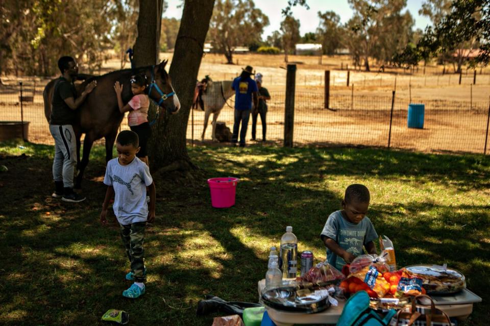 A child checking out the snacks as people mingle with horses in the shade of a large tree