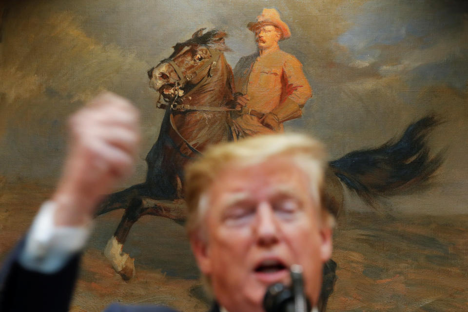 A portrait of former U.S. President Theodore Roosevelt hangs in the background as U.S. President Donald Trump delivers remarks on United States 5G deployment in the Roosevelt Room of the White House in Washington, U.S., April 12, 2019. REUTERS/Carlos Barria