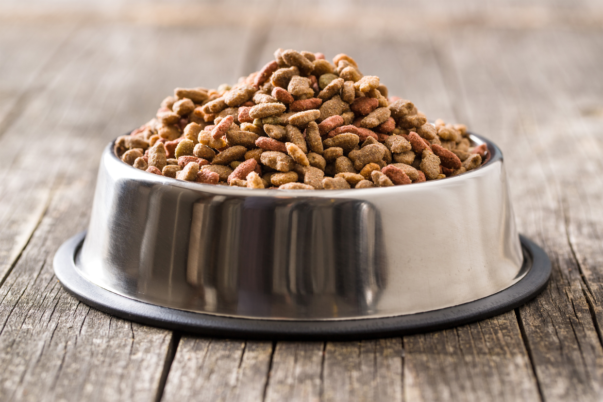 Dry kibble food in a large metal pet bowl, selective focus, on a rustic wooden floor on a porch, blurred