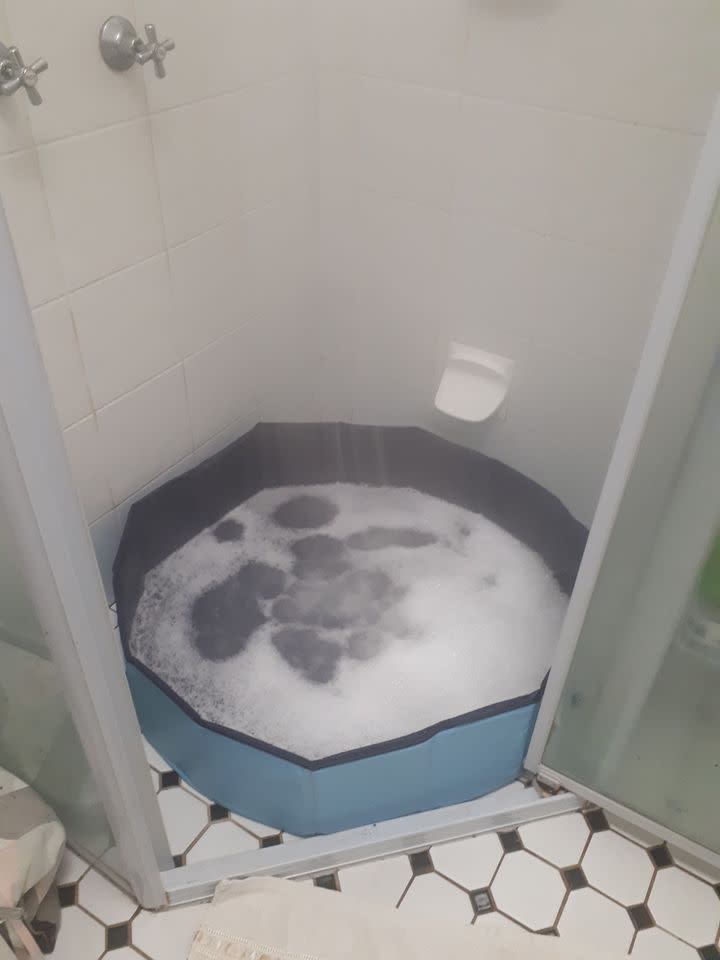 Image fo Kmart $19 Pet Bath used in shower for kids to bath