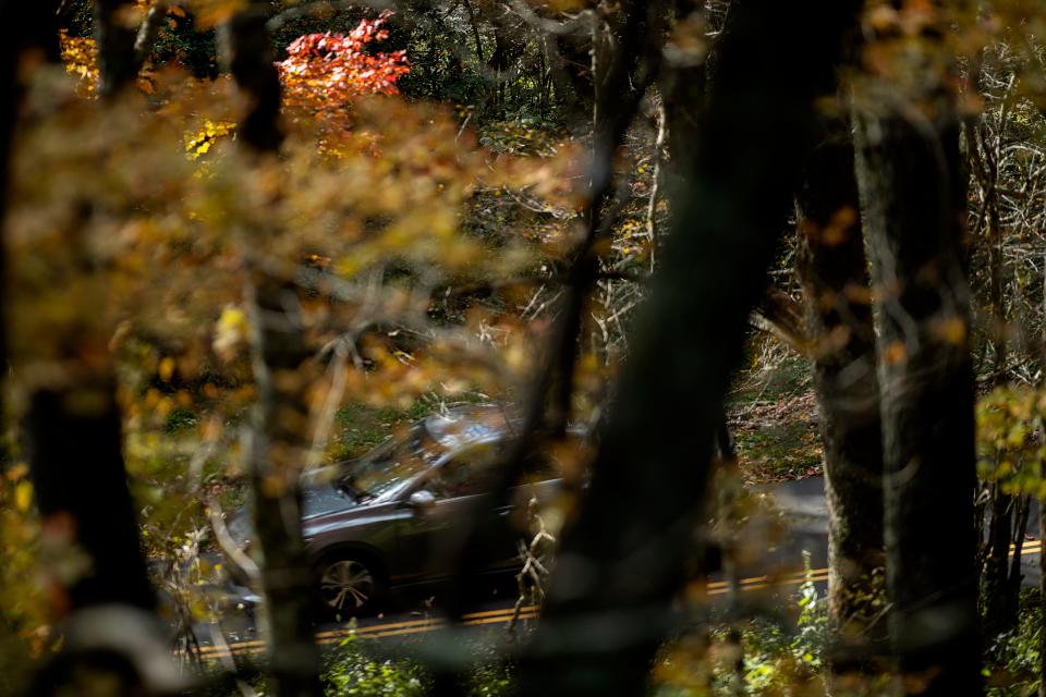 A motorist travels along the road to the Craggy Gardens picnic area off the Blue Ridge Parkway, October 19, 2023.