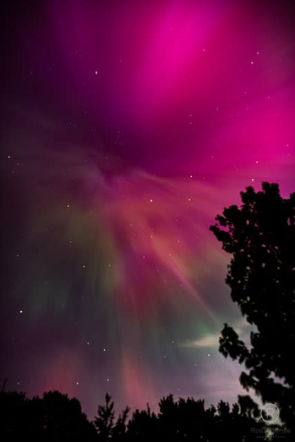 The northern lights in Rockford on May 10, 2024. (Courtesy Ross Dense)