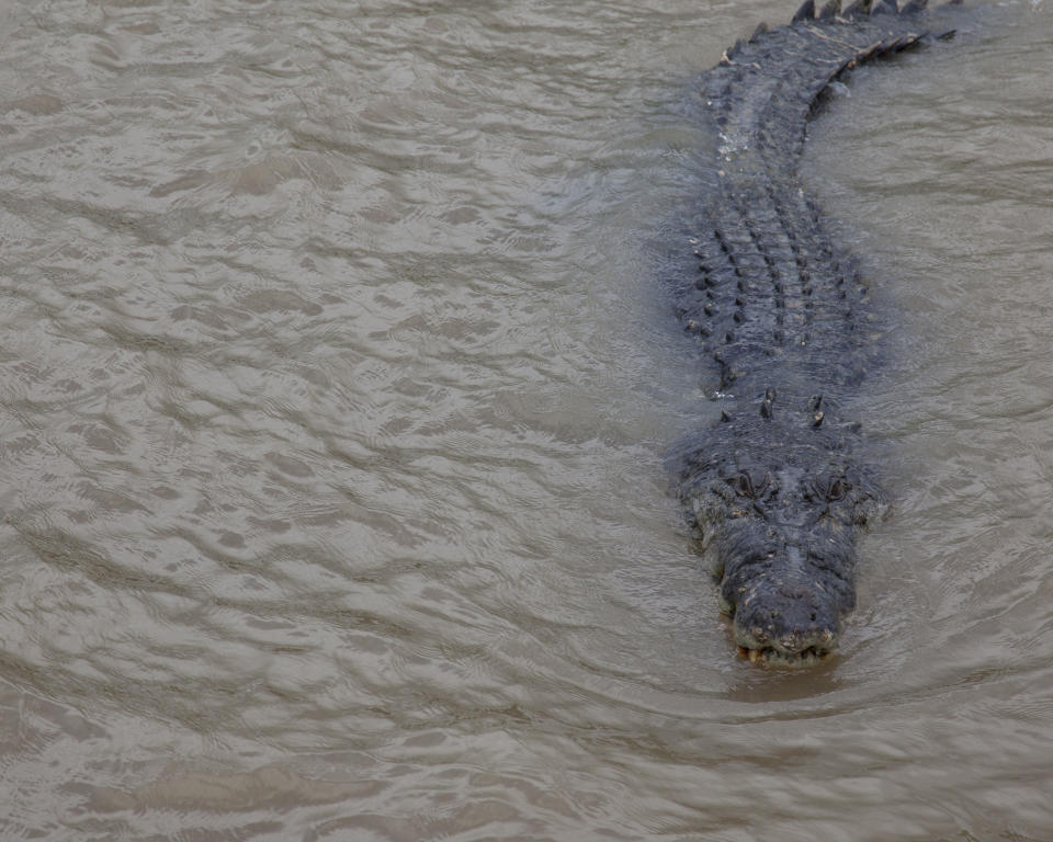 The area is known to have large crocodiles and one was taken from the area on Tuesday. Source: Getty Images, file