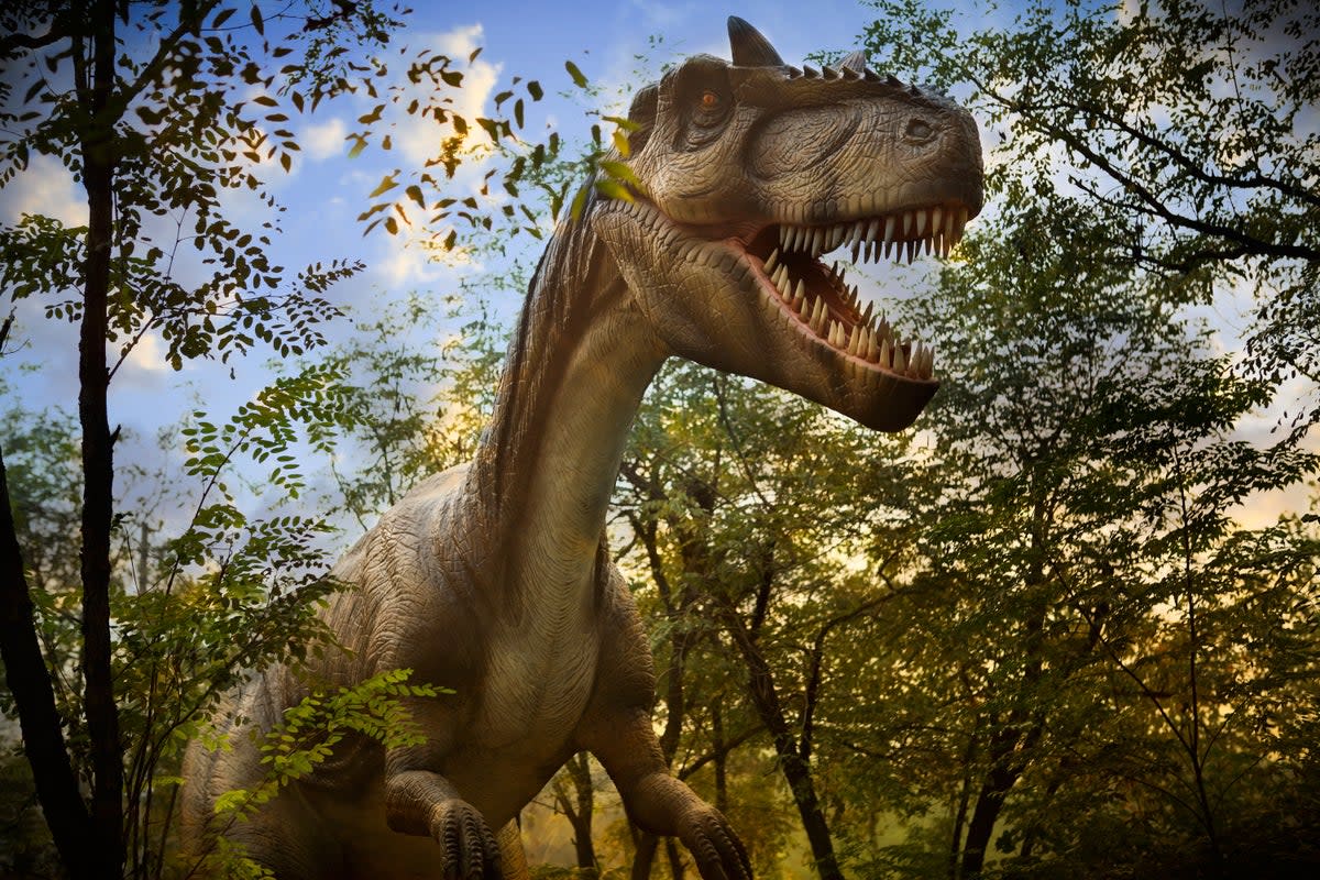 A T-Rex at Roaar! Dinosaur Adventure (Getty Images)