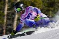 United State's Erik Arvidsson skis during a men's World Cup downhill skiing training run Wednesday, Dec. 1, 2021, in Beaver Creek, Colo. (AP Photo/Robert F. Bukaty)