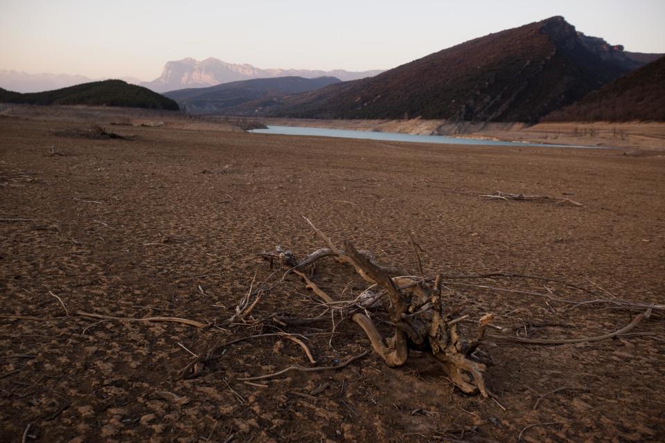 Remains of trees which are usually covered by water are seen inside the reservoir of Mediano, in Huesca, Spain, Tuesday March 13, 2012. One reservoir built in the 1950s, submerging a village called Mediano and its 16th century church, is so low on water that the ruins of buildings which are usually under water are now uncovered. Spain is suffering the driest winter in more than 70 years, adding yet another woe for an economically distressed country that can scarcely afford it. Thousands of jobs and many millions of euros could be in jeopardy. (AP Photo/Emilio Morenatti)